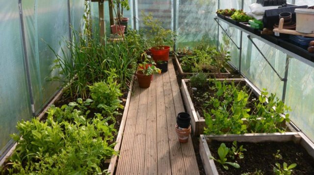 Оформление сада и огорода своими руками: планировка, фото, варианты оформления